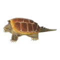 Snapping Turtle NH Furniture Icon.png
