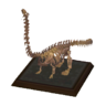 diplo model