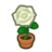 White-Rose Plant NH Inv Icon.png