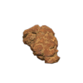 Coprolite NH Icon.png