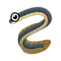 Eel PC Icon.png