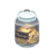 Glass Jar (Cookies - Black Label) NH Icon.png