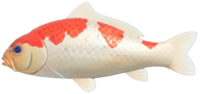 Koi NH.png