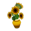 Sunflower CF Model.png