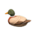 Decoy duck's Mallard variant