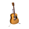 folk guitar