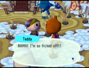 Teddy/Gallery - Animal Crossing Wiki - Nookipedia