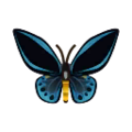 Priam's Blue Birdwing PC Icon.png