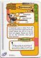 Animal Crossing-e 4-272 (Savannah - Back).jpg