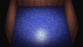 Blue Mosaic-Tile Flooring NH Screenshot.jpg