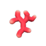 coral