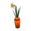 Daffodil CF Model.png