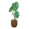 Monstera (Brown) NH Icon.png