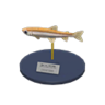 pond smelt model