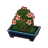 Azalea Bonsai PC Icon.png