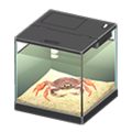 Dungeness Crab NH Furniture Icon.png