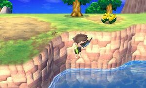 NL Cliff Diving.jpg