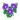 Violet Morning Glory PC Icon.png