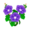 Violet Morning Glory PC Icon.png