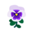 White Pansies PC Icon.png