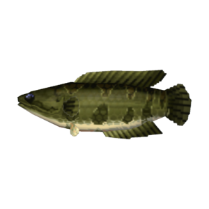 Giant Snakehead CF Model.png