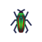 Jewel Beetle PC Icon.png
