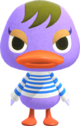 User:Teddyroblox/Snooty - Animal Crossing Wiki - Nookipedia