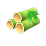 young spring bamboo