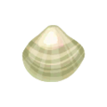 Grand Oyster PC Icon.png