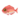 Island Red Snapper PC Icon.png