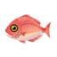 island red snapper