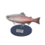 king salmon model
