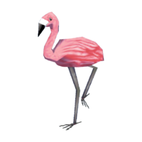 Mrs. Flamingo