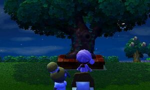 NL Town Tree Dream.jpg