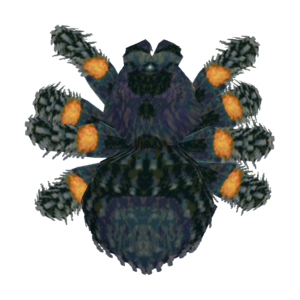 Tarantula CF Model.png