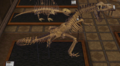 CF Tyrannosaurus Rex Museum.png