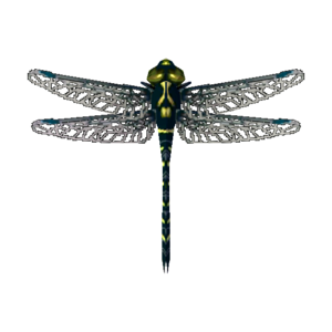 Petaltail Dragonfly NL Model.png