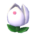 Tulip dresser's White variant