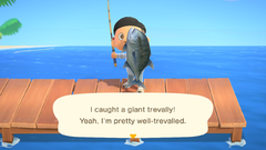 Giant trevally/Gallery - Animal Crossing Wiki - Nookipedia