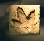 NH Dinosaur Track Museum.jpg