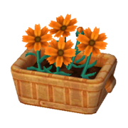 Orange Cosmos NL Model.png