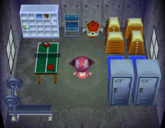Deena's house interior in Animal Crossing