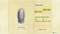 NH Critterpedia Giant Isopod Northern Hemisphere.jpg