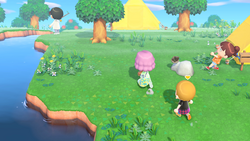 Vivid tights (New Horizons) - Animal Crossing Wiki - Nookipedia