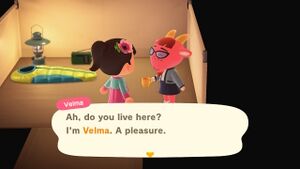 NH Velma Campsite.jpg