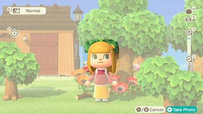 Passport - Animal Crossing Wiki - Nookipedia