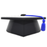 Scholar's Hat (Blue) NH Icon.png