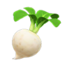 turnips