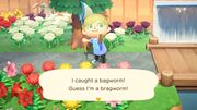 Bagworm/Gallery - Animal Crossing Wiki - Nookipedia