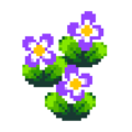 Purple Pansy PG Upscaled.png